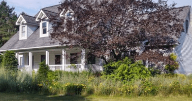 Everything You Need to Know About Brush Removal for Better Property Care, Landscape Management, and Outdoor Maintenance