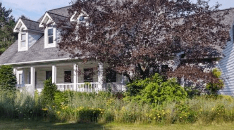 Everything You Need to Know About Brush Removal for Better Property Care, Landscape Management, and Outdoor Maintenance