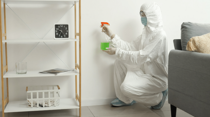 The Health Risks of Untreated Mold in Residential Properties