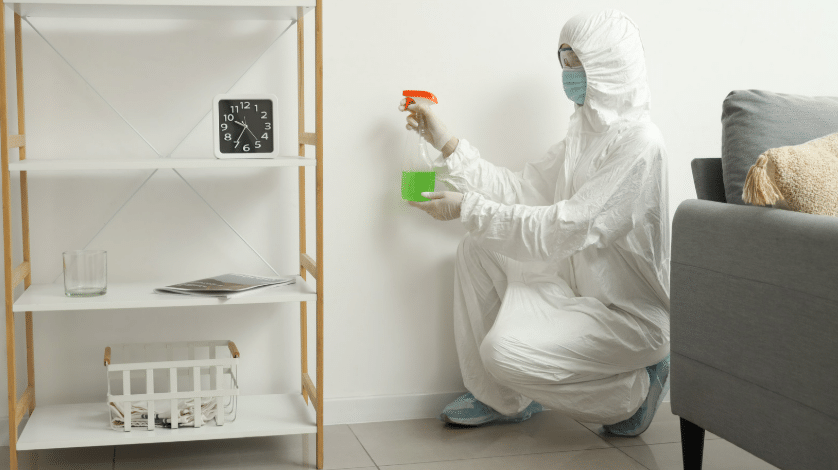 The Health Risks of Untreated Mold in Residential Properties