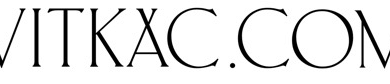 What Makes Vitkac Different from Other Luxury Fashion Stores?
