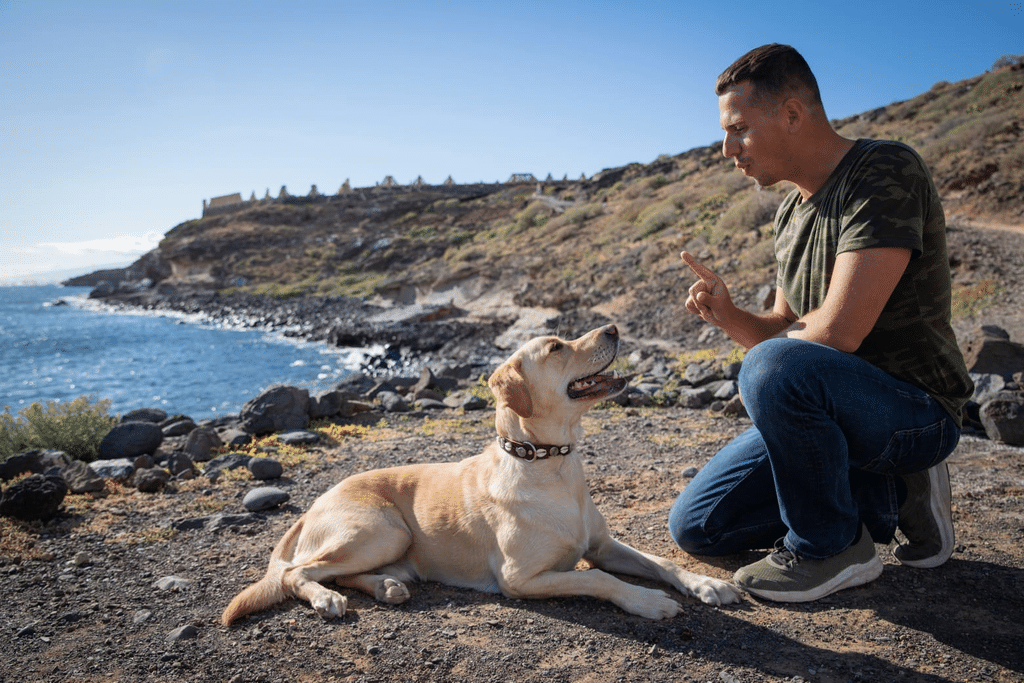 Finding the Right Board & Train Program Across California and the Pacific Northwest