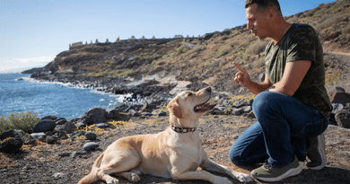 Finding the Right Board & Train Program Across California and the Pacific Northwest