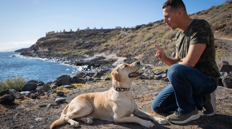 Finding the Right Board & Train Program Across California and the Pacific Northwest