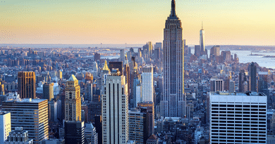 The Star-Studded Skyline: Why New York City Remains the Ultimate Celebrity Sanctuary
